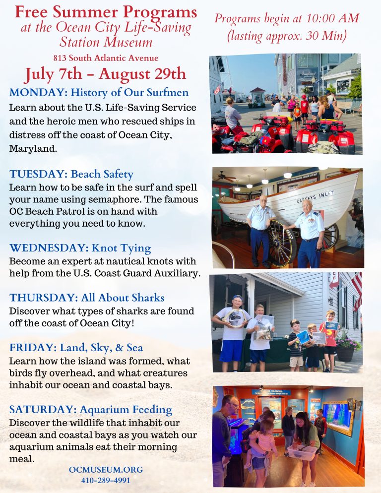 Free Summer Programs 2025 768x994