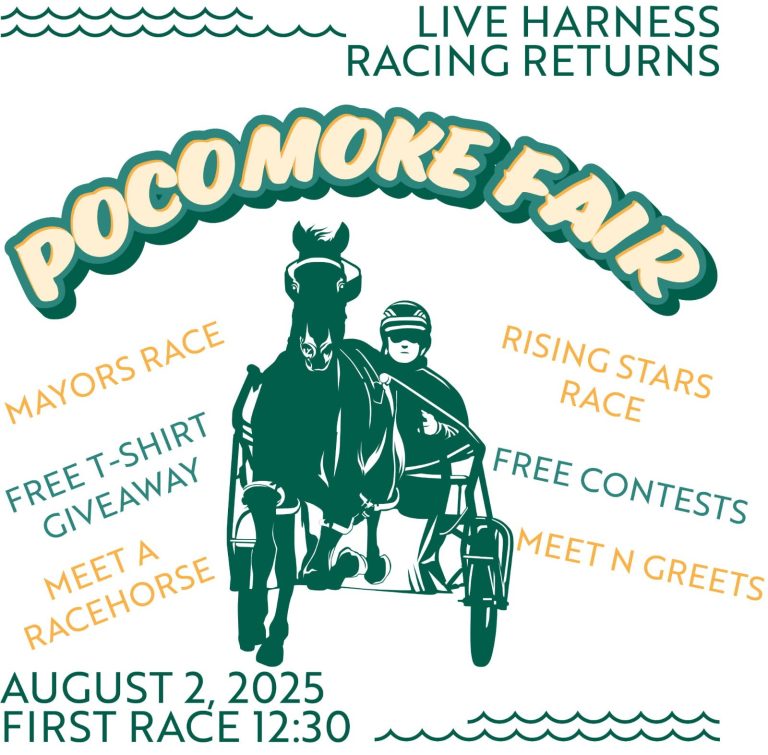 520834274 1247687877154729 193804069888670883 n 768x755