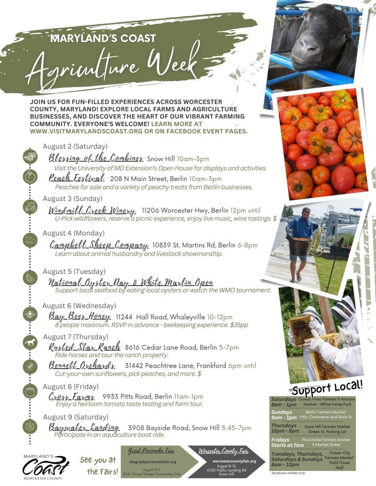 524923193 1075243658087287 6242064932053898186 n 768x994