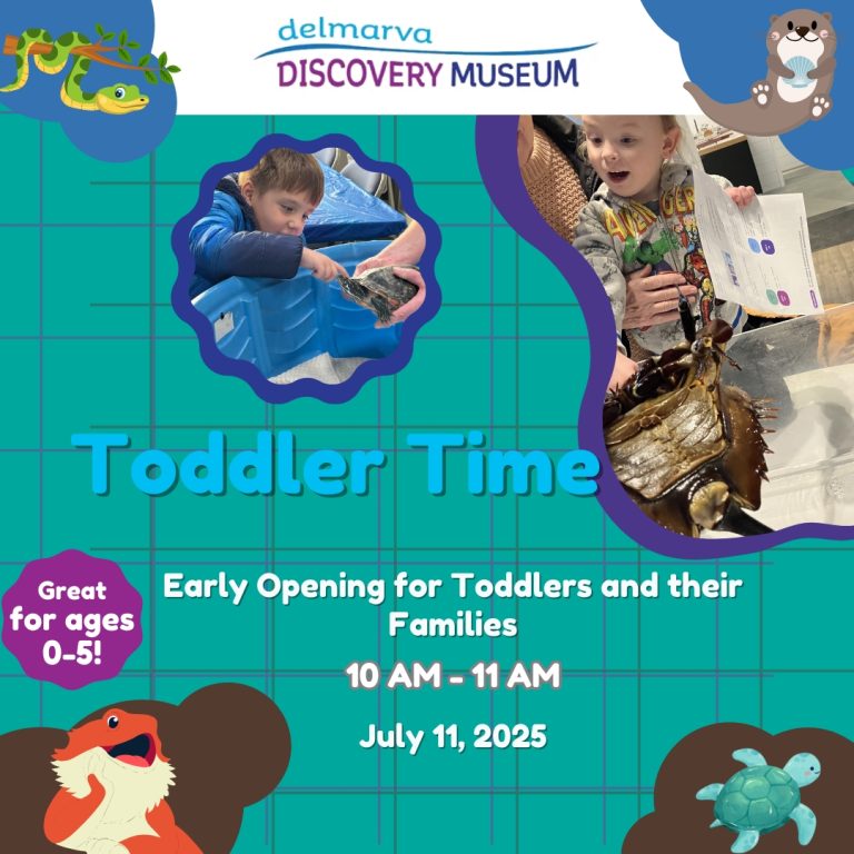 Toddler Time July 11 768x768