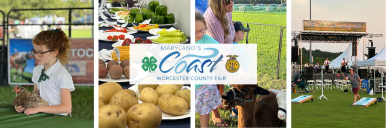 Worcester Fiar 768x256