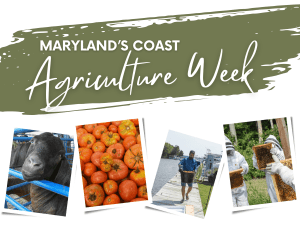 ag week cover