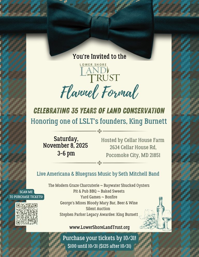 2025 Flannel Formal 768x994