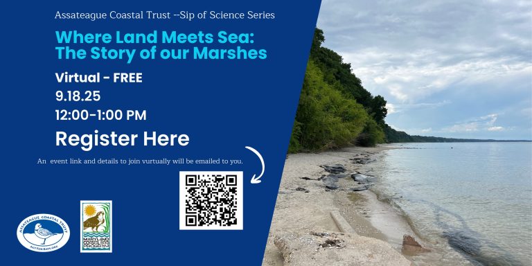 545999280 1091875013116304 3543169172697259638 n 768x384