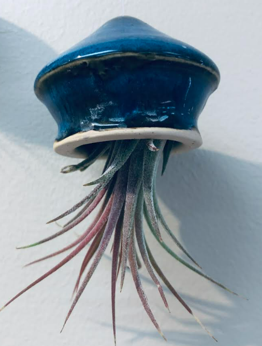 25F POT 0050 2541 1 59364