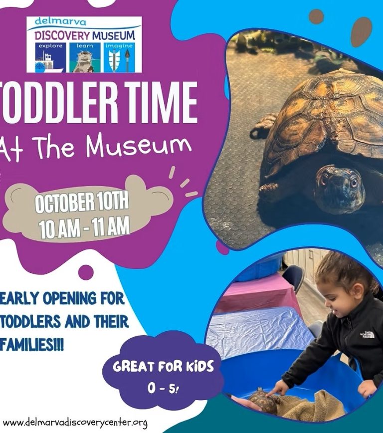 Toddler Time at the Museum October 10 2025 768x868