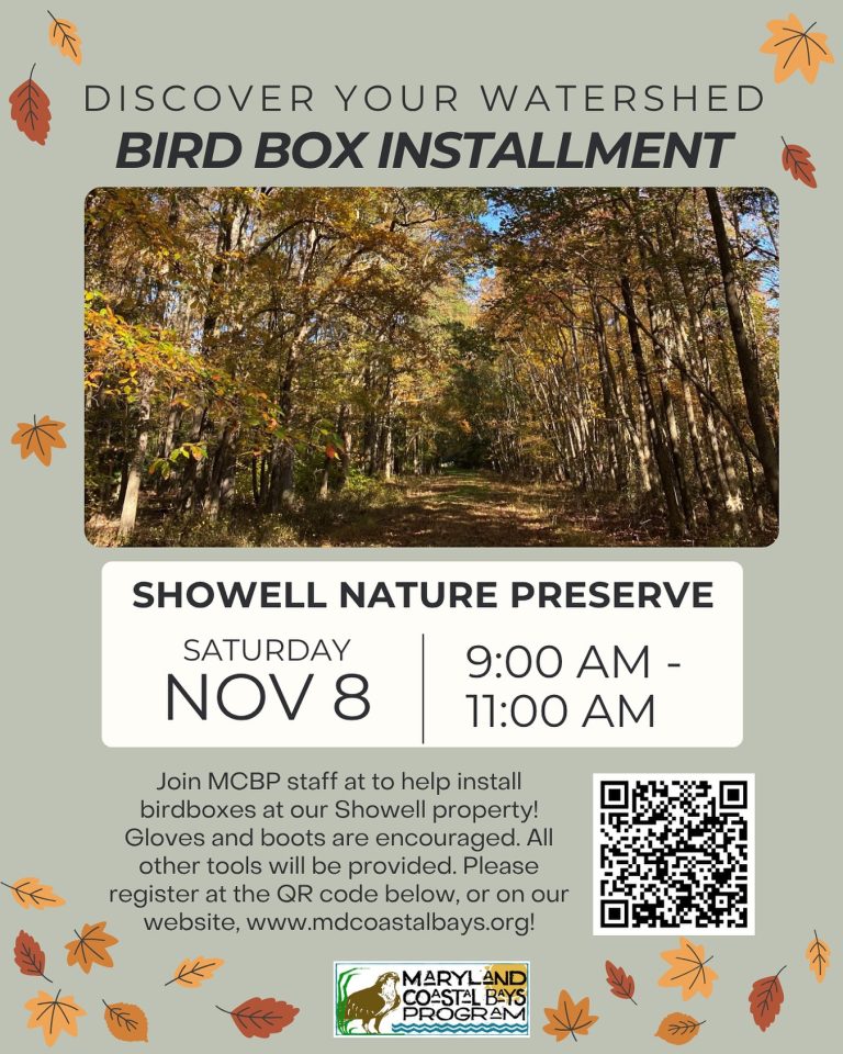 571911606 18541252297063419 1951704652382341379 n 768x960