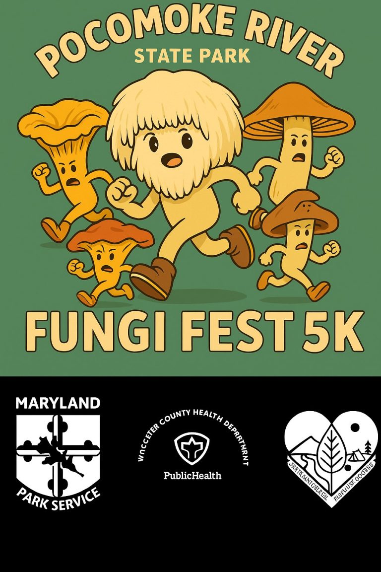 Fungi Fest 2025 768x1152