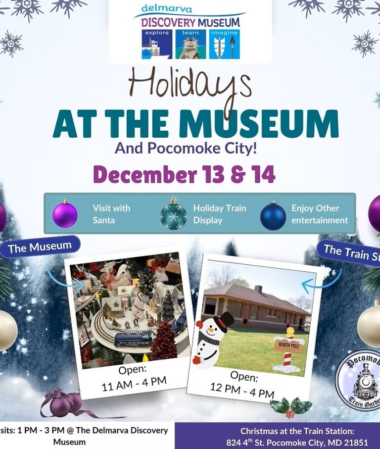 Holidays at the Museum 2025 768x907