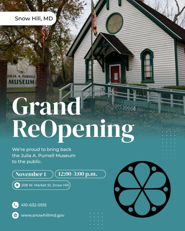 558150388 122105520783032552 4627623494722765242 n 768x960