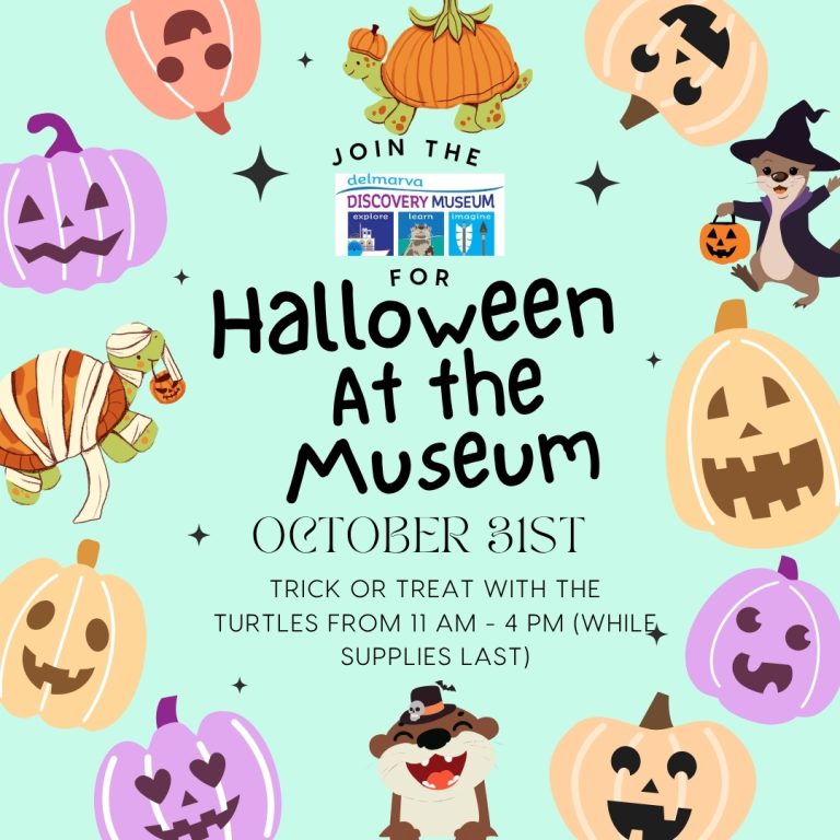 571143031 1385221340269770 1414283363017486979 n 768x768