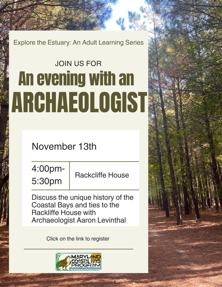 571175645 1238552874982874 6769200501751384760 n 768x994