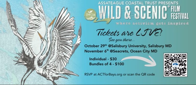 Assateague Coastal Trust WSFF Event 4 768x335