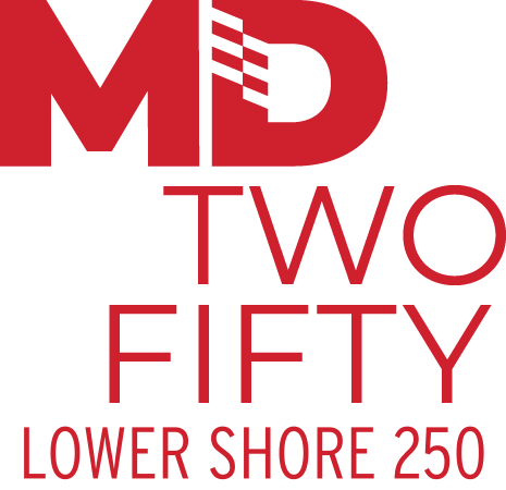 Lower Shore 250 vertical solid 1