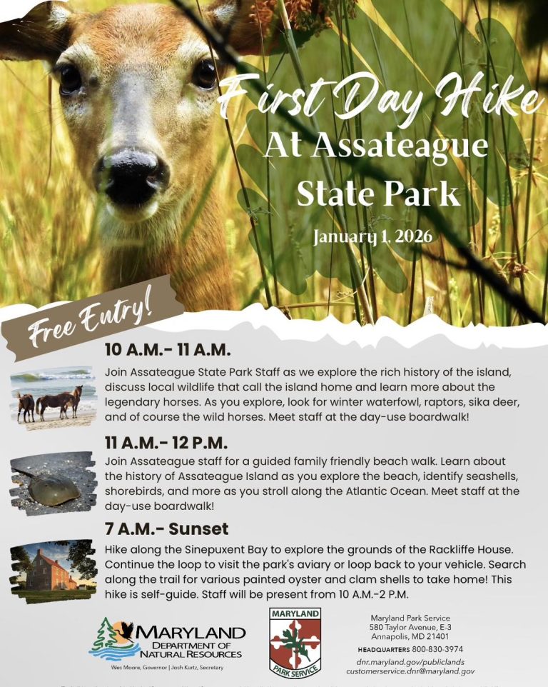 592260188 1128547492822731 8304367823906706404 n 1 768x962