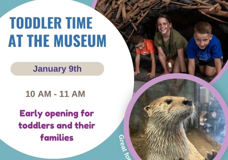 january toddler time at the museum flyer instagram post