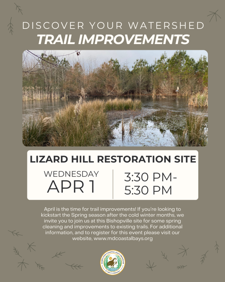Lizard Hill Trail Work 768x960