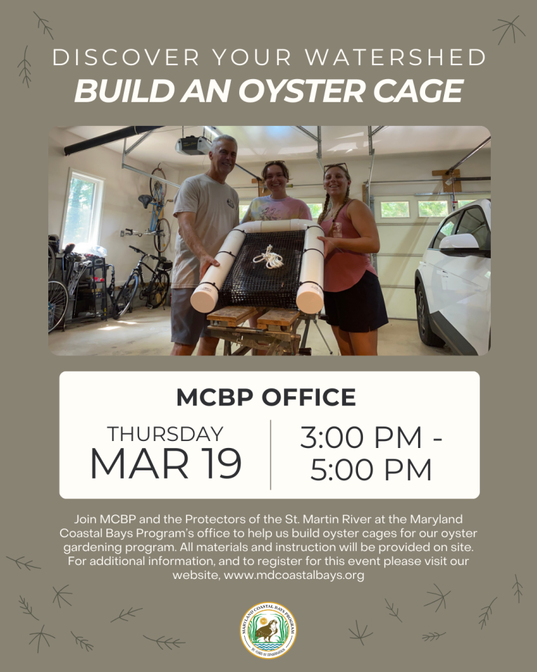 Oyster Cage Build 768x960