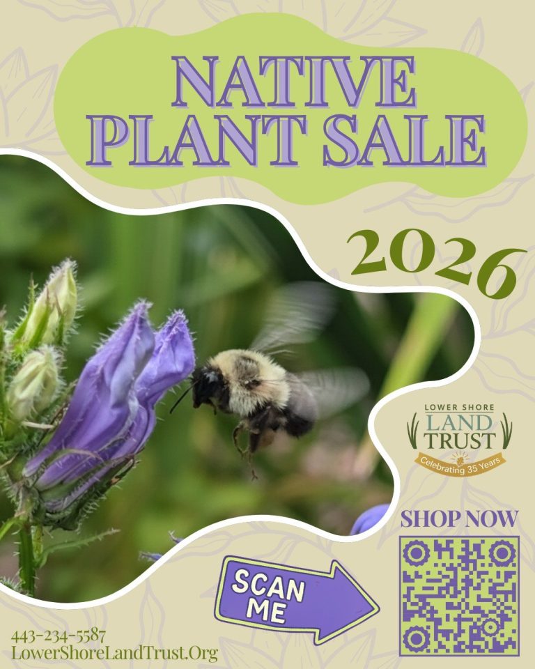 651188627 1396756742493563 1746980946068570131 n 768x960