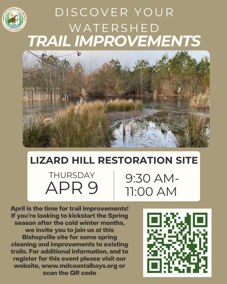 660312822 1365993775572116 5753544340412243192 n 768x960