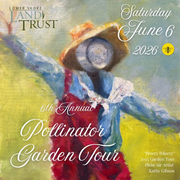 poster board PGT IG2 768x768